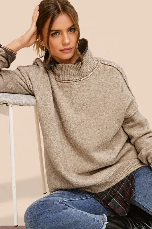 Cozy Charming Turtleneck Long Sleeve Fashion Top Sweater